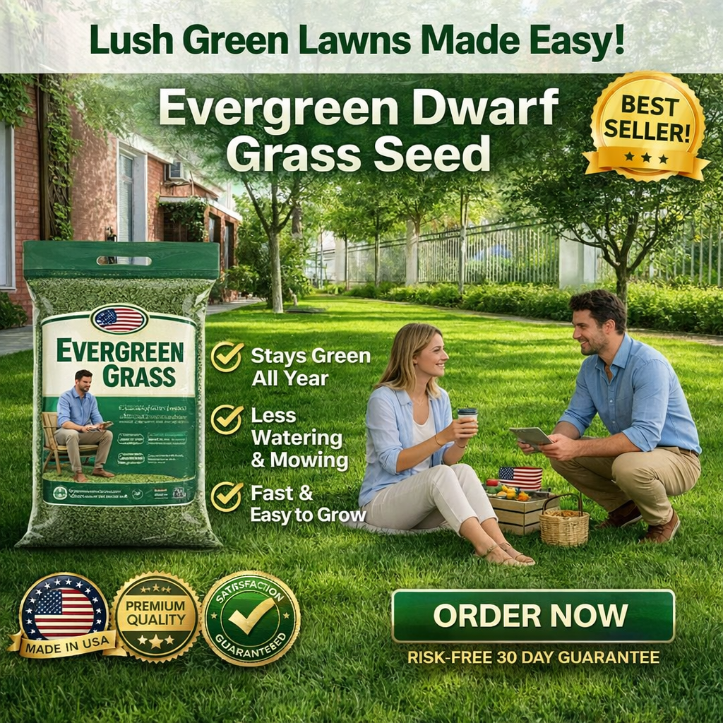 /69d71d405c7c5c000adecbc6/2026/04/16/product-img-69e11e0b373c02bd69cc0855.png